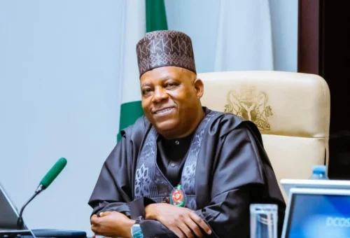 Northern support for Tinubu not a blank check – Shettima – Daily Trust