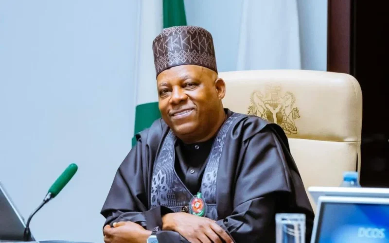 Northern support for Tinubu not a blank check – Shettima – Daily Trust Northern support for Tinubu not a blank check – Shettima – Daily Trust
