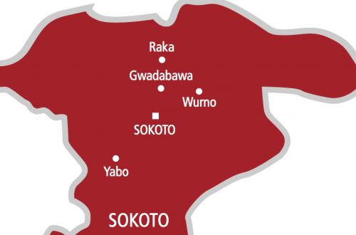 Sokoto pilgrims’ board decries Hajj passport centralisation – Daily Trust
