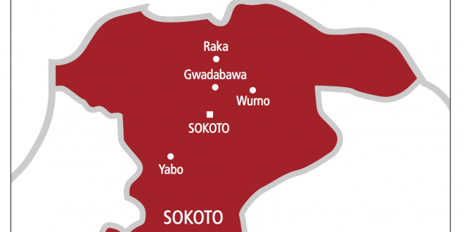 Sokoto pilgrims’ board decries Hajj passport centralisation – Daily Trust