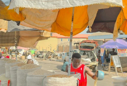 Lagos food prices: Egusi jumps 29.73% as important staples document wider declines in September
