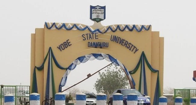 Yobe Varsity non-teaching staff threaten strike – Daily Trust